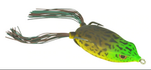 Load image into Gallery viewer, Bronzeye Frog