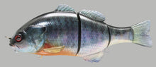 Load image into Gallery viewer, Gantarel Jr.