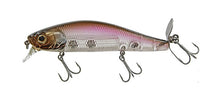 Load image into Gallery viewer, Spiral Minnow