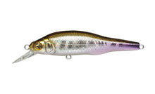 Load image into Gallery viewer, X-80 Trick Darter