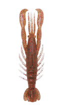 Load image into Gallery viewer, Hurry Shrimp
