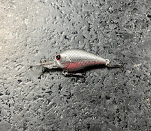 Load image into Gallery viewer, LC 0.3DD Crankbaits