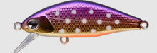 Load image into Gallery viewer, Issen 45S Max