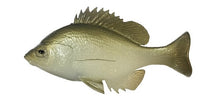 Load image into Gallery viewer, Bluegill Top Hook
