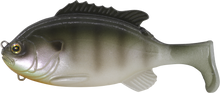 Load image into Gallery viewer, Gill Swimmer 95
