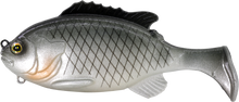 Load image into Gallery viewer, Gill Swimmer 95
