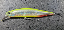 Load image into Gallery viewer, Jerkbait 100SP
