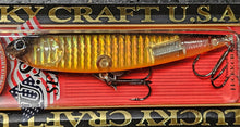 Load image into Gallery viewer, Sammy 100
