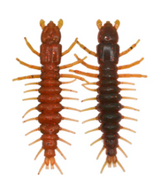Load image into Gallery viewer, Hellgrammite
