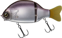 Load image into Gallery viewer, Gladical 147F
