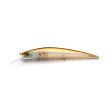 Load image into Gallery viewer, Level Minnow Plus
