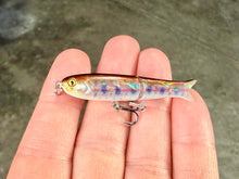 Load image into Gallery viewer, BFS Micro Glide Minnow
