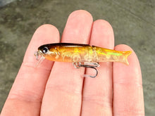 Load image into Gallery viewer, BFS Micro Glide Crank Minnow
