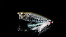 Load image into Gallery viewer, Year of the Dragon Limited Edition Baits
