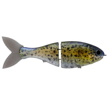 Load image into Gallery viewer, Bucca Trick Shad
