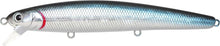 Load image into Gallery viewer, Flash Minnow 110SP

