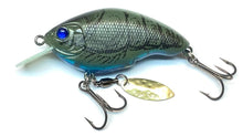 Load image into Gallery viewer, Baby Chippawa RB Blade
