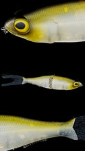 Load image into Gallery viewer, Chimera Shad
