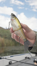 Load image into Gallery viewer, KGB Chad Shad 180
