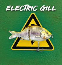 Load image into Gallery viewer, Micro BFS Glide Gill
