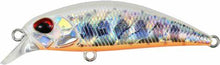 Load image into Gallery viewer, Spearhead Ryuki 50S Takumi
