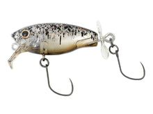 Load image into Gallery viewer, Buzzjet Trout Model
