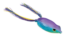 Load image into Gallery viewer, Bronzeye Frog
