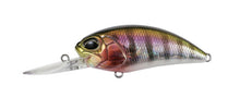 Load image into Gallery viewer, M65 Crankbaits
