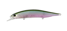 Load image into Gallery viewer, Jerkbait 120SP
