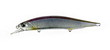 Load image into Gallery viewer, Jerkbait 120SP
