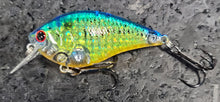 Load image into Gallery viewer, LC 1.5 Crankbaits
