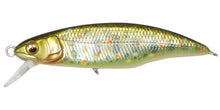 Load image into Gallery viewer, Great Hunting 50 Flatside
