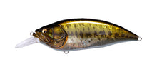 Load image into Gallery viewer, Big M 4.0
