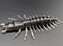 Load image into Gallery viewer, Hellgrammite
