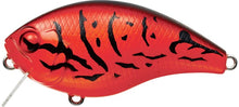 Load image into Gallery viewer, CH-1 Crankbaits
