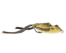 Load image into Gallery viewer, Bobby's Perfect Frog
