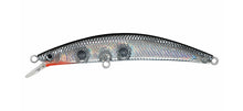 Load image into Gallery viewer, Dr Minnow
