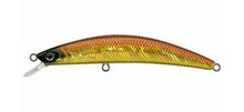Load image into Gallery viewer, Dr Minnow

