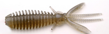 Load image into Gallery viewer, Egu Bug
