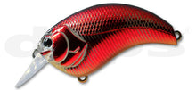 Load image into Gallery viewer, Evoke 2.0
