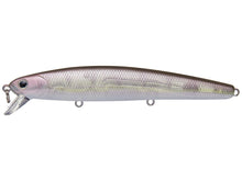 Load image into Gallery viewer, Flash Minnow 110SP
