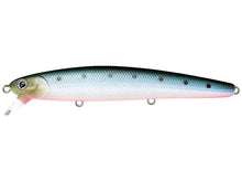 Load image into Gallery viewer, Flash Minnow 110SP
