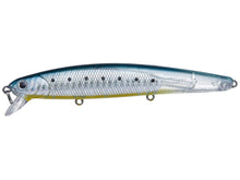 Load image into Gallery viewer, Flash Minnow 110SP
