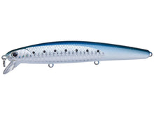 Load image into Gallery viewer, Flash Minnow 110SP
