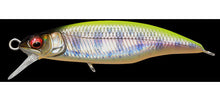 Load image into Gallery viewer, Great Hunting 45 Flatside
