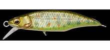 Load image into Gallery viewer, Great Hunting 45 Flatside
