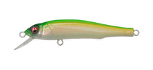 Load image into Gallery viewer, Great Hunting 70 Flatside
