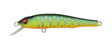 Load image into Gallery viewer, Great Hunting 70 Flatside
