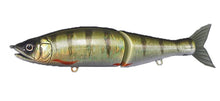 Load image into Gallery viewer, Jointed Claw 148

