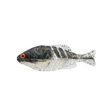 Load image into Gallery viewer, Gill Flat Jr
